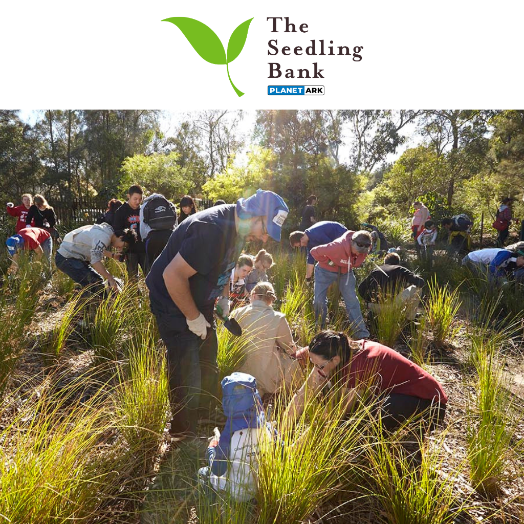 Lifecycle_Plus_Seedling_Bank_Supporter_Donations